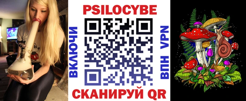 Купить закладки Камышлов Галлюциногенные грибы мицелий